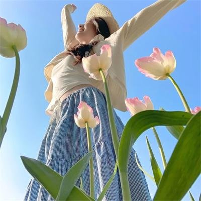 纸钞屋第二季